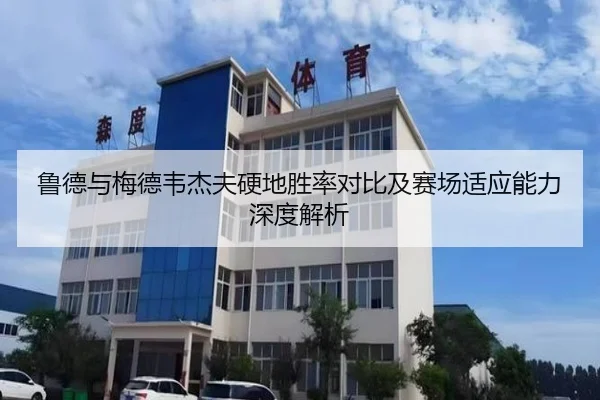 鲁德与梅德韦杰夫硬地胜率对比及赛场适应能力深度解析